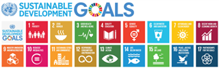 联合国可持续发展目标，其中第四项为素质教育（quality education）