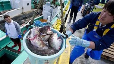 东日本大地震后，福岛出口的第一批渔业产品交付
