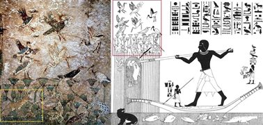 图 4 左：“沼丛间的猫”，本尼哈桑洪努霍太普二世墓捕鱼图细部，黄色圈示为猫所在位置。图4右：线描捕鱼图全景，红色圈示为左图位置。