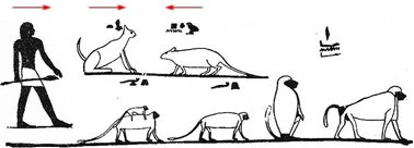 图7：猫鼠对峙图细部